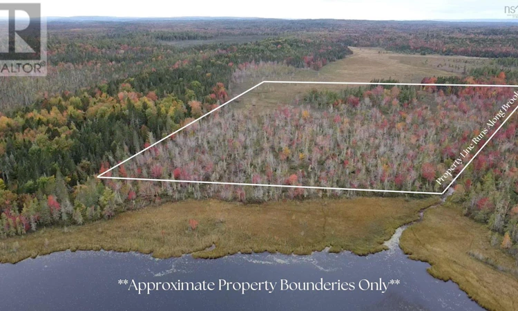 Lot-Walton Woods Road