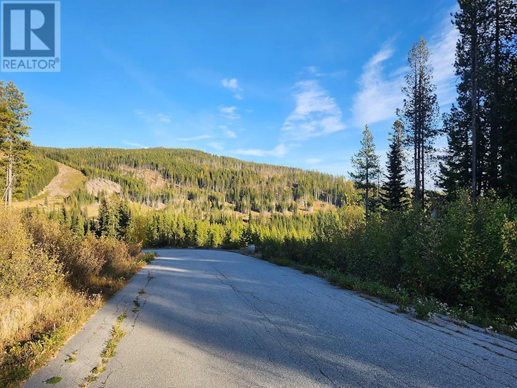 Lot-21 Buck Road, Oliver, BC, V0H 1T8 - 11