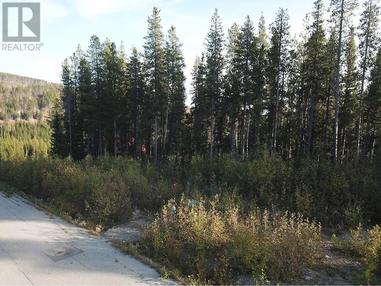 Lot-21 Buck Road, Oliver, BC, V0H 1T8 - 12