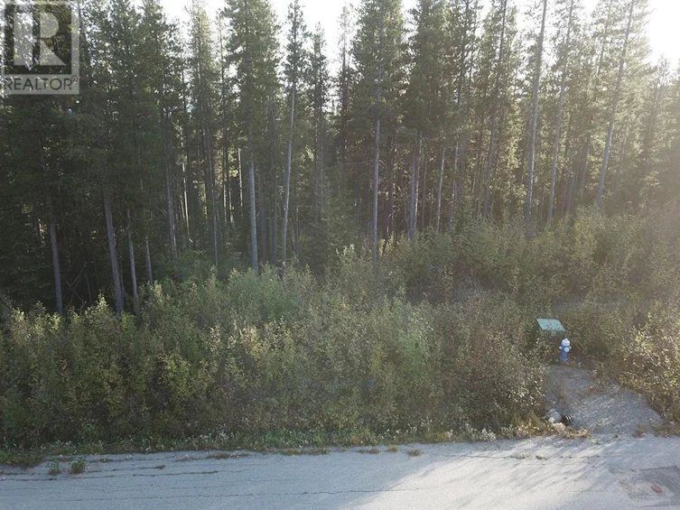 Lot-21 Buck Road, Oliver, BC, V0H 1T8 - 13