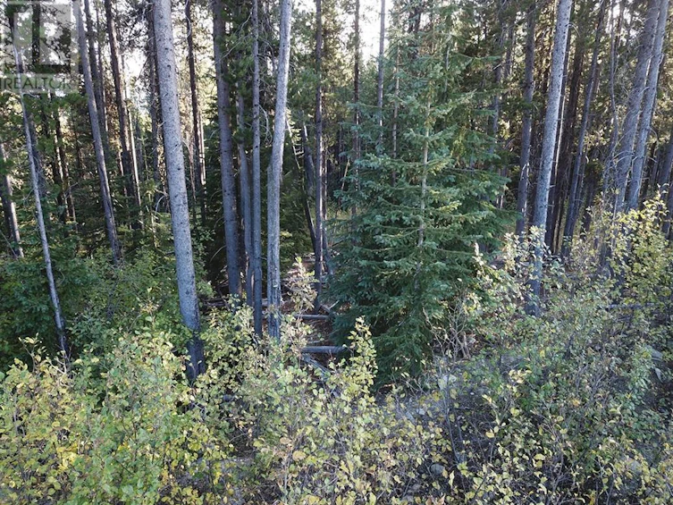 Lot-21 Buck Road, Oliver, BC, V0H 1T8 - 15