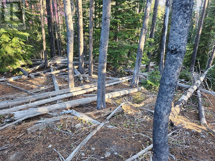 Lot-21 Buck Road, Oliver, BC, V0H 1T8 - 17