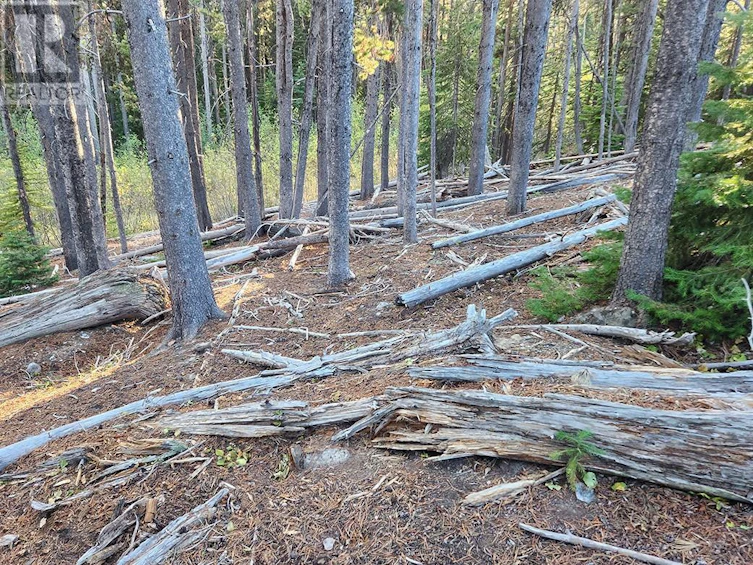 Lot-21 Buck Road, Oliver, BC, V0H 1T8 - 18