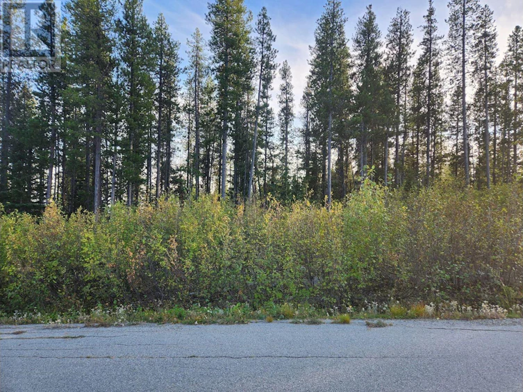 Lot-21 Buck Road, Oliver, BC, V0H 1T8 - 3