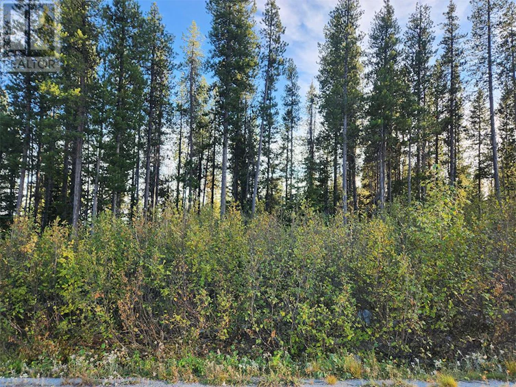 Lot-21 Buck Road, Oliver, BC, V0H 1T8 - 4