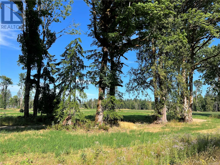 8991 South Island Highway, Fanny Bay, BC, V0R 1W0 - 17