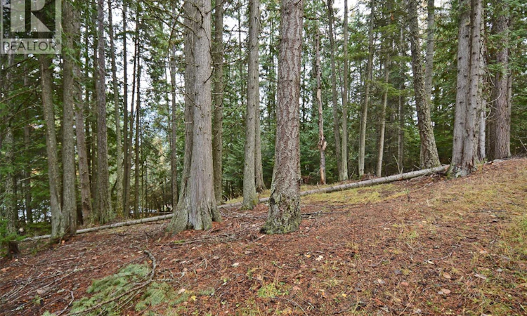 Lot-1 Bedford Road