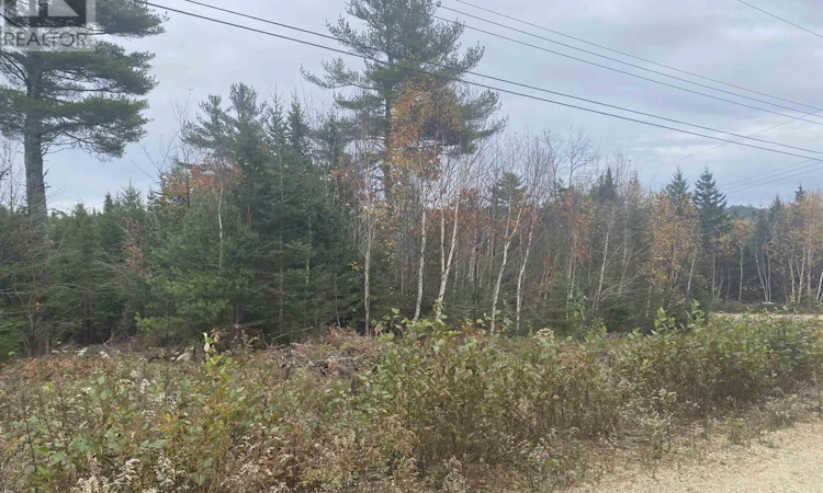 Lot-20 Noonan Lake Lane