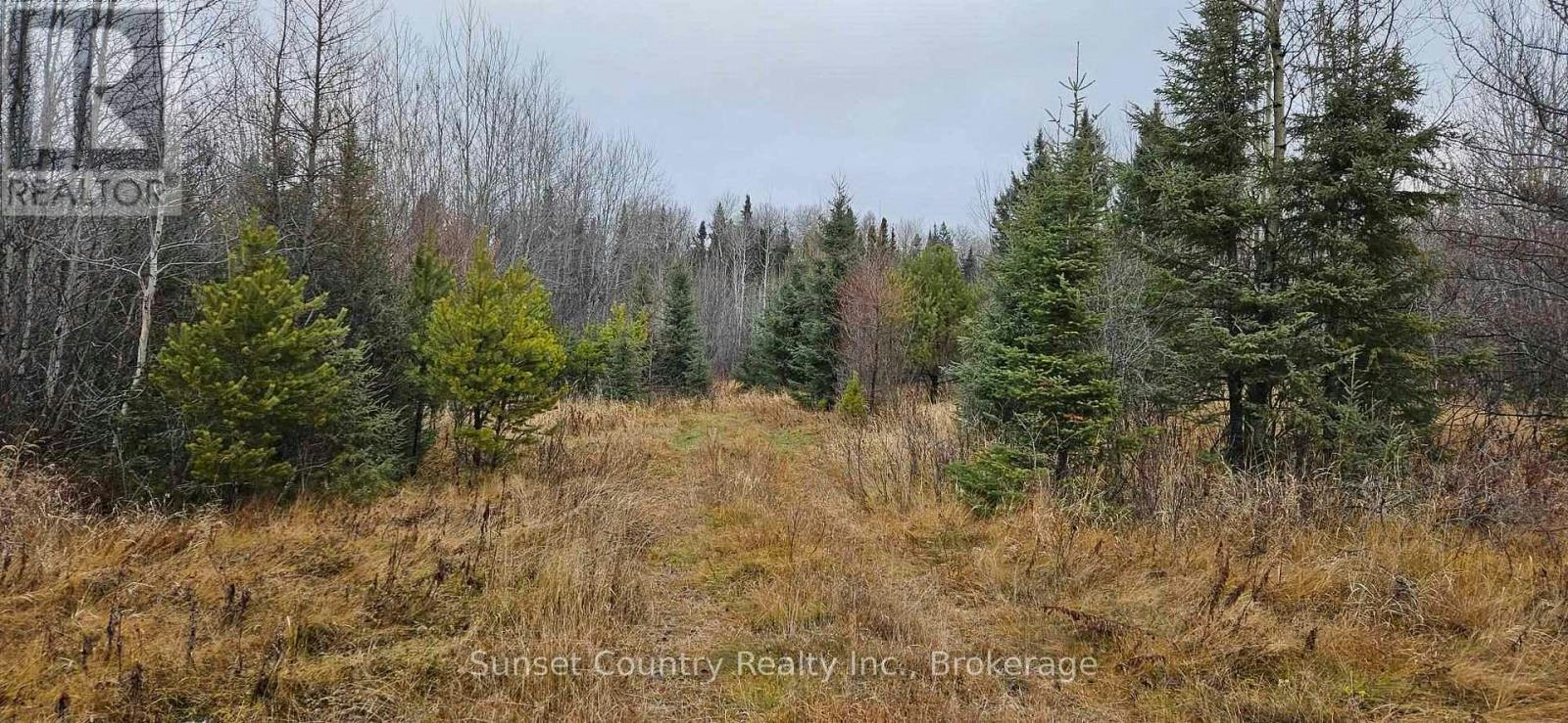 PIN #-420950063 17 Highway N, Ignace, ON, P0V 1P0