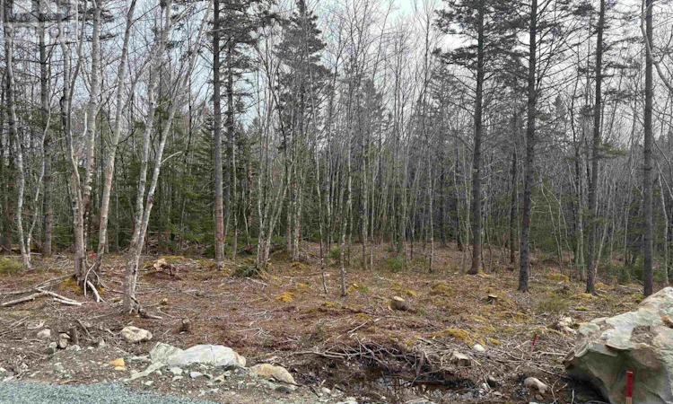 Lot-4 Larry Seldon Lane