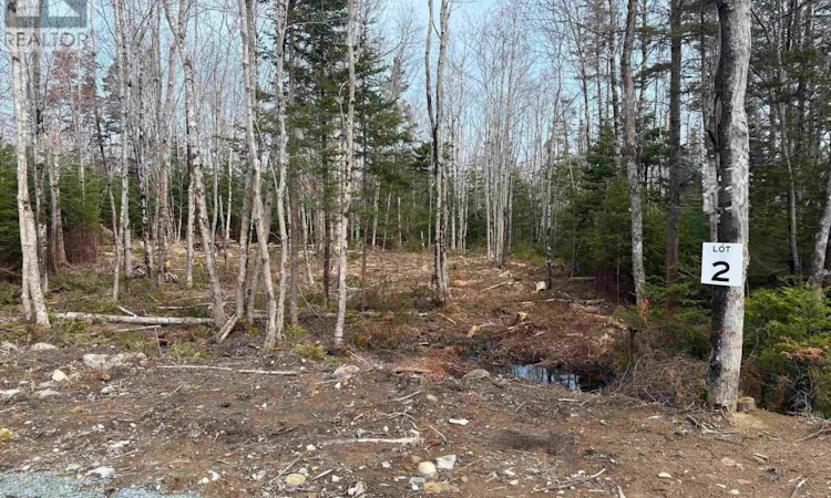 Lot-2 Larry Seldon Lane