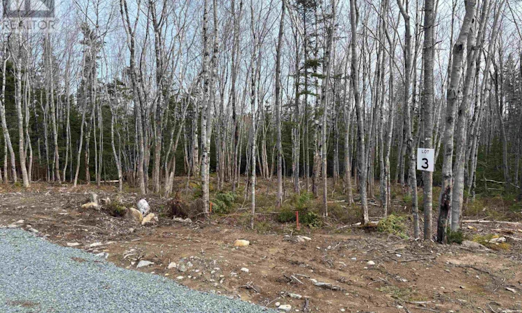Lot-3 Larry Seldon Lane