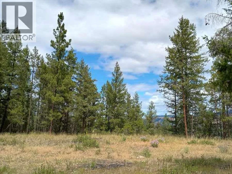 1-640 3 Highway, Princeton, BC, V0X 1W0 - 11