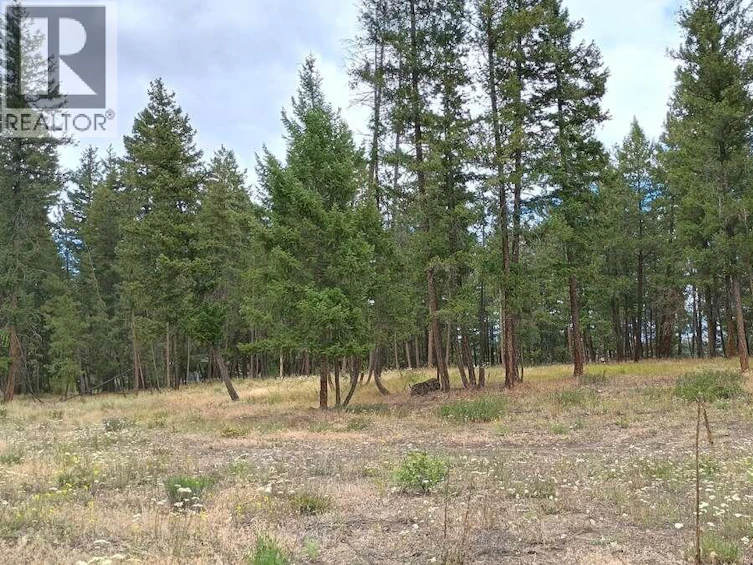 1-640 3 Highway, Princeton, BC, V0X 1W0 - 10