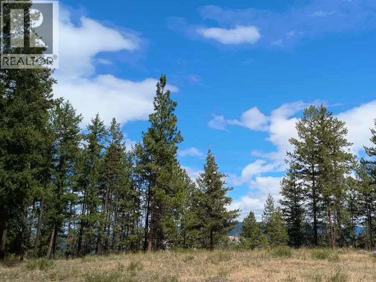 1-640 3 Highway, Princeton, BC, V0X 1W0 - 3