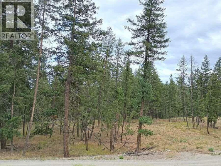 1-640 3 Highway, Princeton, BC, V0X 1W0 - 16