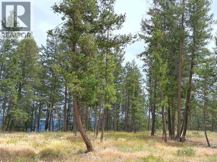 1-640 3 Highway, Princeton, BC, V0X 1W0 - 8