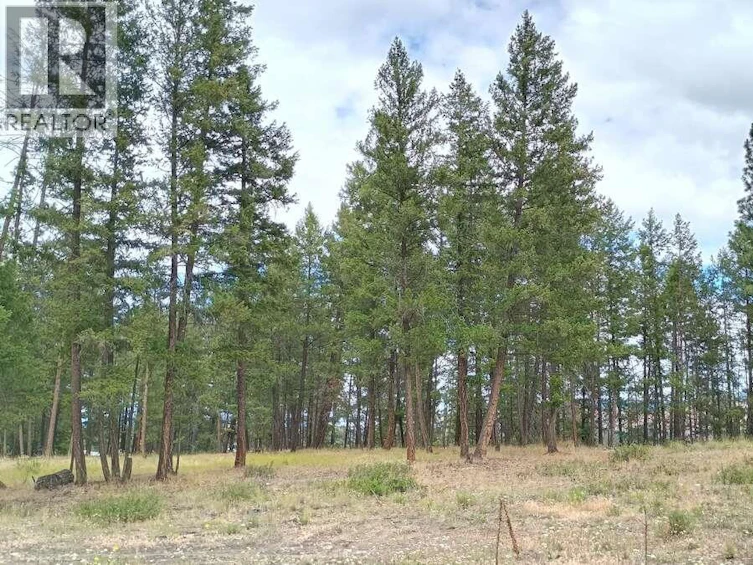 1-640 3 Highway, Princeton, BC, V0X 1W0 - 9