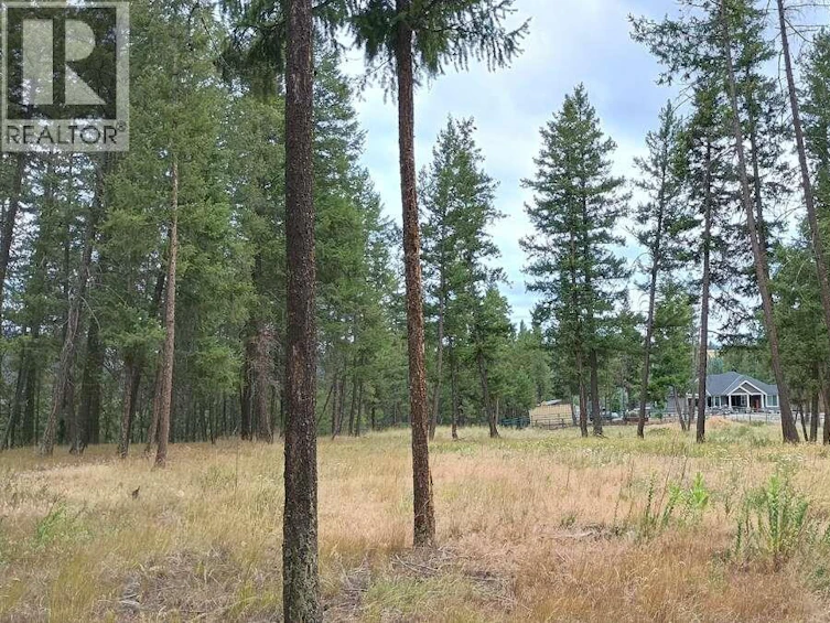 1-640 3 Highway, Princeton, BC, V0X 1W0 - 14