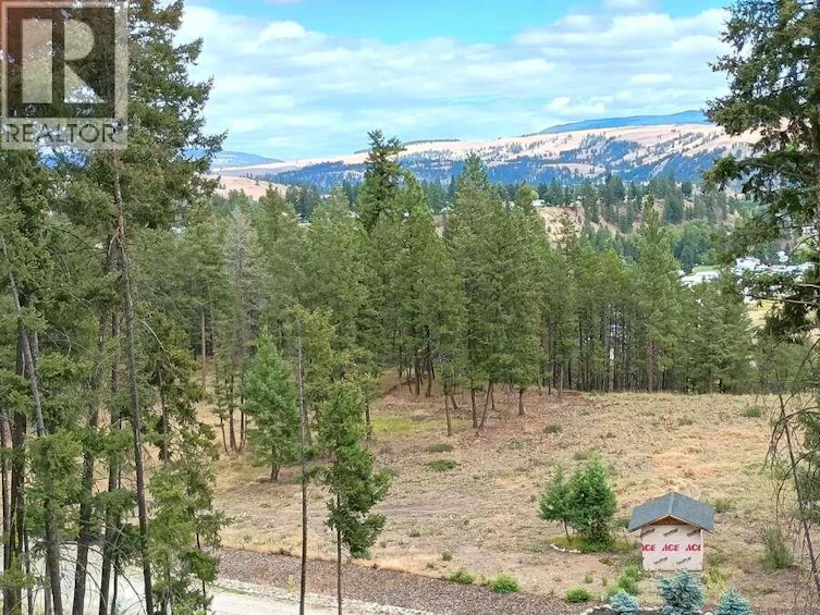 1-640 3 Highway, Princeton, BC, V0X 1W0