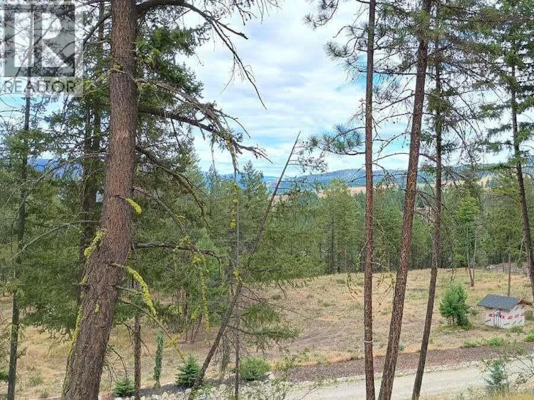 1-640 3 Highway, Princeton, BC, V0X 1W0 - 17