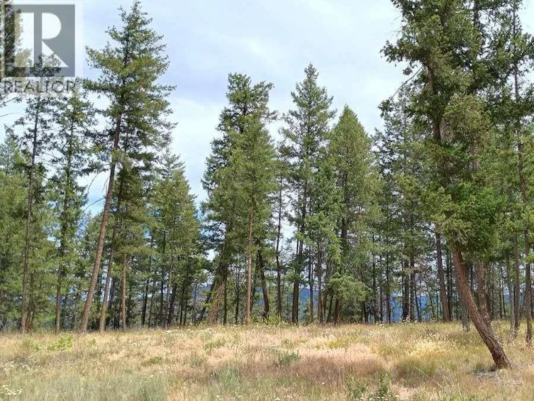 1-640 3 Highway, Princeton, BC, V0X 1W0 - 7