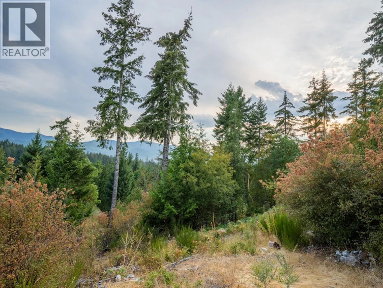 Lot-13 Teal Court, Lake Cowichan, BC, V0R 2G0 - 16