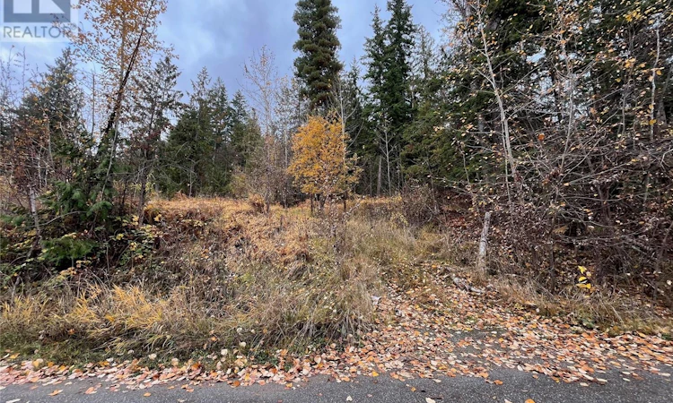 Lot 150, Anglemont Drive