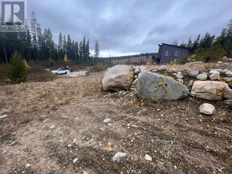 331 Buck Road, Oliver, BC, V0H 1V8 - 10