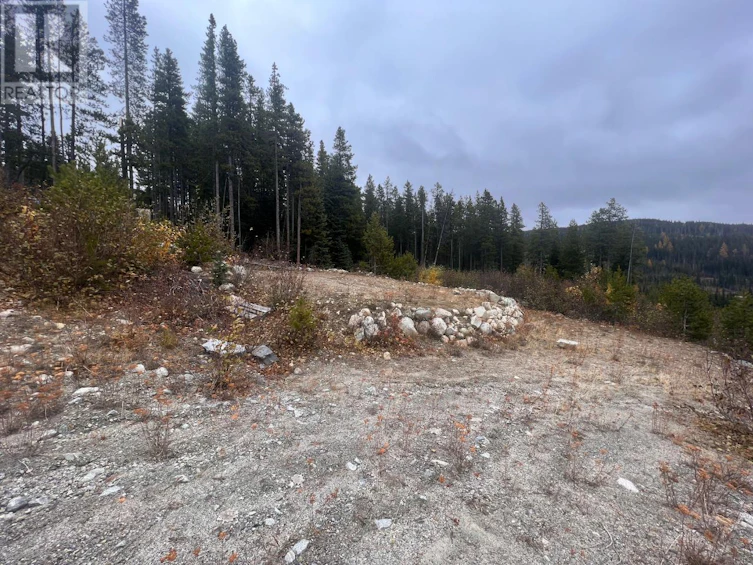 331 Buck Road, Oliver, BC, V0H 1V8 - 12