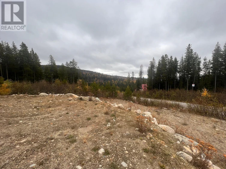 331 Buck Road, Oliver, BC, V0H 1V8 - 13