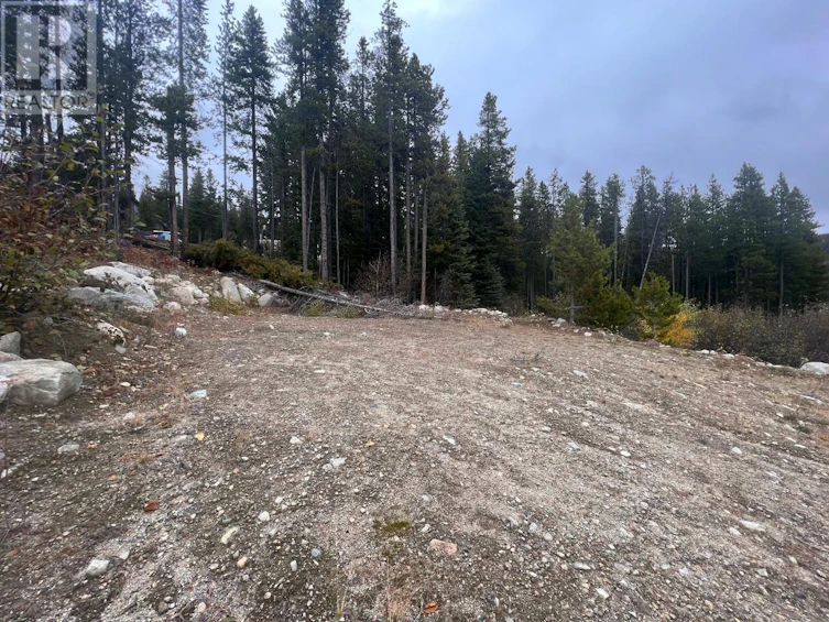 331 Buck Road, Oliver, BC, V0H 1V8 - 14