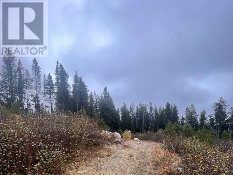 331 Buck Road, Oliver, BC, V0H 1V8 - 15