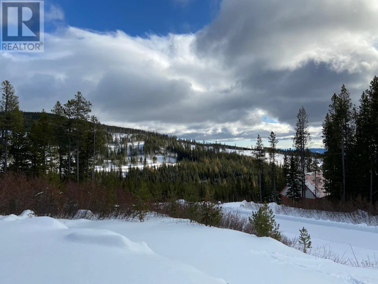 331 Buck Road, Oliver, BC, V0H 1V8 - 16