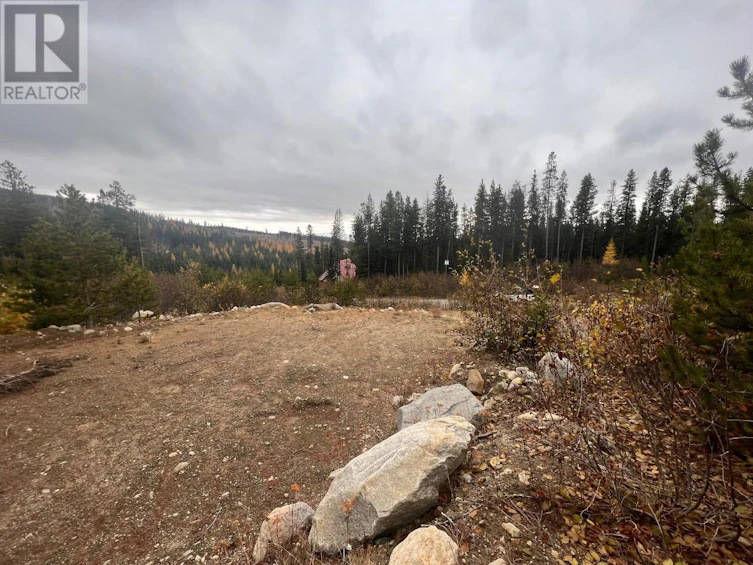 331 Buck Road, Oliver, BC, V0H 1V8 - 5