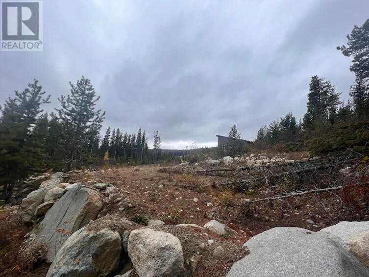 331 Buck Road, Oliver, BC, V0H 1V8 - 8