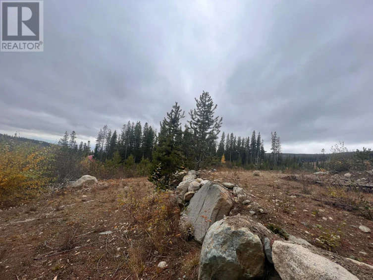 331 Buck Road, Oliver, BC, V0H 1V8 - 9
