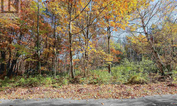 Lot-18 Nokomis Beach Road