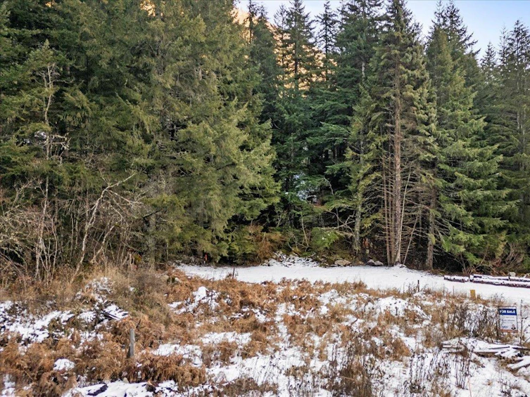 LMV-7 Old Hope Princeton Sunshine Valley Highway, Hope, BC, V0X 1L5 - 6