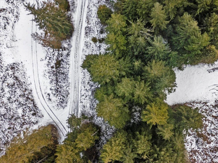 LMV-7 Old Hope Princeton Sunshine Valley Highway, Hope, BC, V0X 1L5 - 7