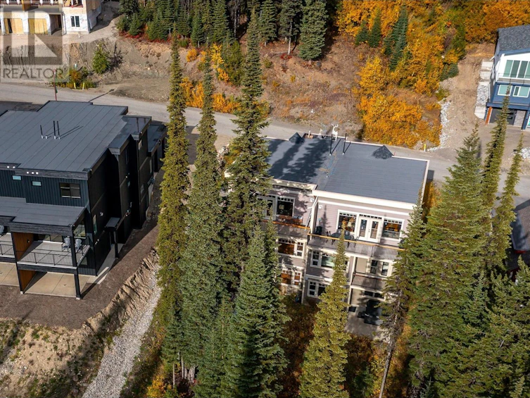 9887 Cathedral Drive, Silver Star, BC, V1B 3M1 - 49