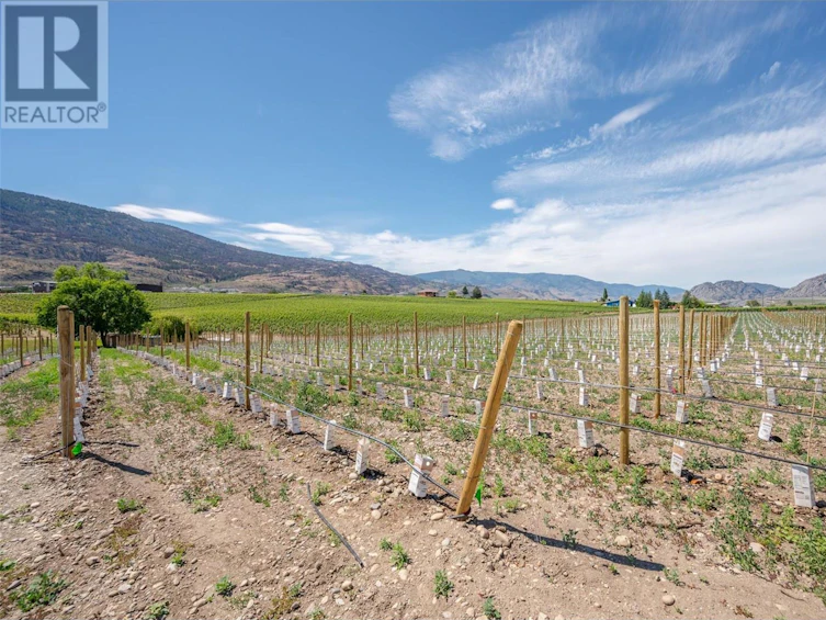 101-8909 92nd Avenue, Osoyoos, BC, V0H 1V2 - 29