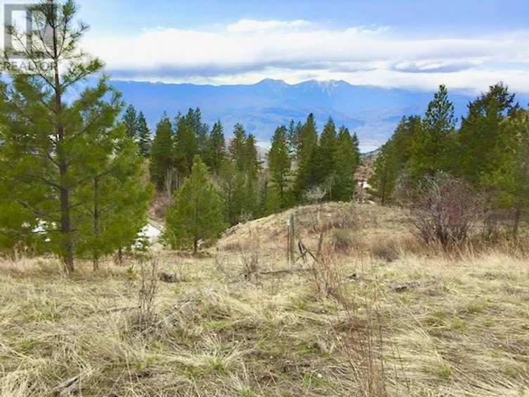995 Eagle Place, Osoyoos, BC, V0H 1V6 - 11