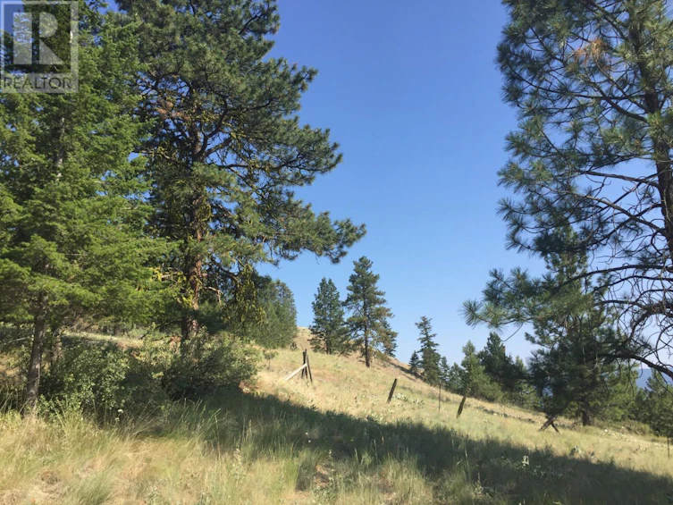 995 Eagle Place, Osoyoos, BC, V0H 1V6 - 3
