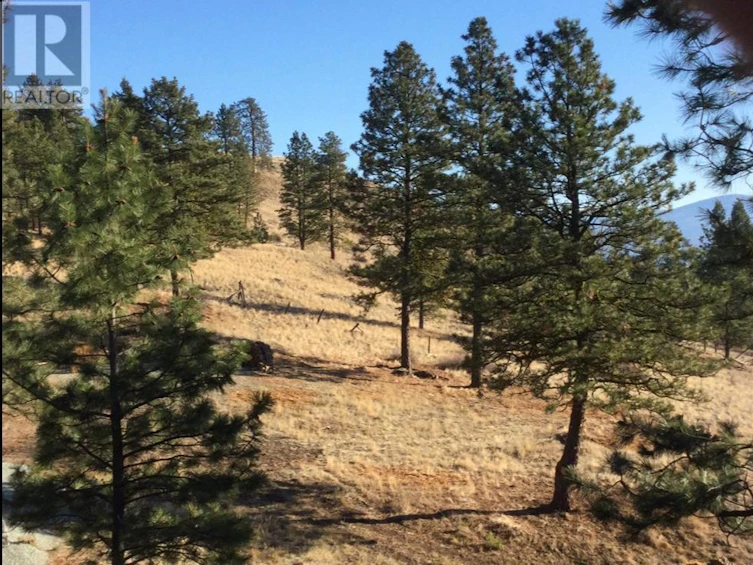 995 Eagle Place, Osoyoos, BC, V0H 1V6 - 6