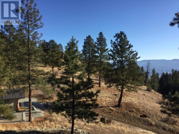 995 Eagle Place, Osoyoos, BC, V0H 1V6 - 8