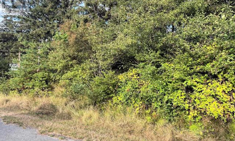 Lot-3 Cedar Street