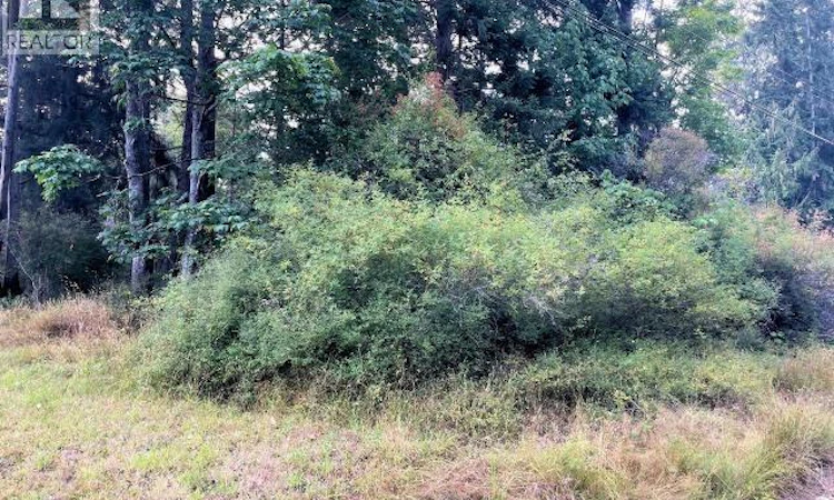 Lot-4 Dogwood Street