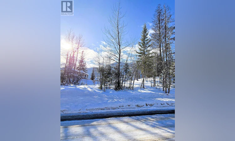 51 Cariboo Drive