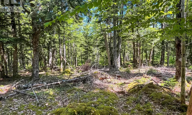 Lot-1000 Conquerall Road